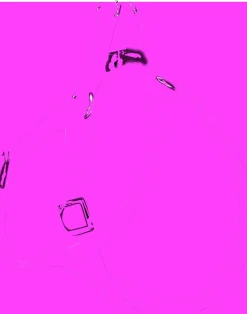 Bissolo Casa Accessori Guinzagli<PETTORINA FLASH N.1 MM.12 FUXIA: vendita online PETTORINA FLASH N.1 MM.12 FUXIA in offerta