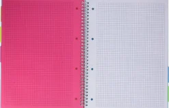 Bissolo Casa Quaderni E Blocchi Blocchi<PIGNA - BLOCCO AD ANELLI FLUO 100+2 FOGLI QUADRETTI ASSORTITO: vendita online PIGNA - BLOCCO AD ANELLI FLUO 100+2 FOGLI QUADRETTI ASSORTITO in offerta