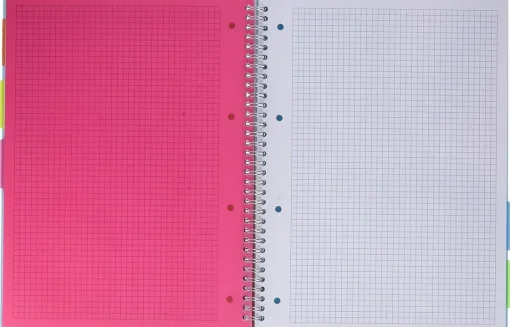 Bissolo Casa Quaderni E Blocchi Blocchi<PIGNA - BLOCCO AD ANELLI FLUO 100+2 FOGLI QUADRETTI ASSORTITO: vendita online PIGNA - BLOCCO AD ANELLI FLUO 100+2 FOGLI QUADRETTI ASSORTITO in offerta