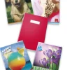 Bissolo Casa Quaderni E Blocchi Quaderni<PIGNA - CONFEZIONE 5 QUADERNI MAXI RAGAZZI QUADRETTI ASSORTITI: vendita online PIGNA - CONFEZIONE 5 QUADERNI MAXI RAGAZZI QUADRETTI ASSORTITI in offerta