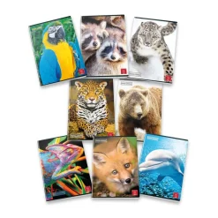 Bissolo Casa Quaderni E Blocchi Quaderni<PIGNA - QUADERNO MAXI ANIMAL 42 FOGLI A4 QUADRETTI GRANDI ASSORTTO : vendita online PIGNA - QUADERNO MAXI ANIMAL 42 FOGLI A4 QUADRETTI GRANDI ASSORTTO in offerta