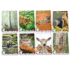 Bissolo Casa Quaderni E Blocchi Quaderni<PIGNA - QUADERNO MAXI ANIMAL CUTE AND FUNNY 50 FOGLI A4 QUADRETTI ASSORTITO: vendita online PIGNA - QUADERNO MAXI ANIMAL CUTE AND FUNNY 50 FOGLI A4 QUADRETTI ASSORTITO in offerta