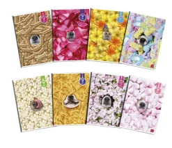 Bissolo Casa Quaderni E Blocchi Quaderni<PIGNA - QUADERNO MAXI BUBU 7 TE 50FF/SH RIGHE 4a 5a elementari CON MARGINI ASSORTITO: vendita online PIGNA - QUADERNO MAXI BUBU 7 TE 50FF/SH RIGHE 4a 5a elementari CON MARGINI ASSORTITO in offerta