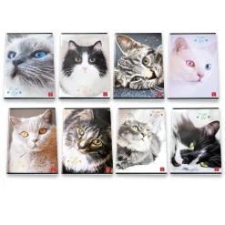 Bissolo Casa Quaderni E Blocchi Quaderni<PIGNA - QUADERNO MAXI CATS ANG BIG EYES 38 FOGLI A4 RIGHE 3a elem. ASS.: vendita online PIGNA - QUADERNO MAXI CATS ANG BIG EYES 38 FOGLI A4 RIGHE 3a elem. ASS. in offerta