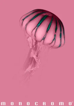 Bissolo Casa Quaderni E Blocchi Quaderni<PIGNA - QUADERNO MAXI MONOCROMO PINK 38 FOGLI A4 QUADRETTI ASS.: vendita online PIGNA - QUADERNO MAXI MONOCROMO PINK 38 FOGLI A4 QUADRETTI ASS. in offerta