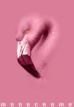 Bissolo Casa Quaderni E Blocchi Quaderni<PIGNA - QUADERNO MAXI MONOCROMO PINK 38 FOGLI A4 QUADRETTI ASS.: vendita online PIGNA - QUADERNO MAXI MONOCROMO PINK 38 FOGLI A4 QUADRETTI ASS. in offerta
