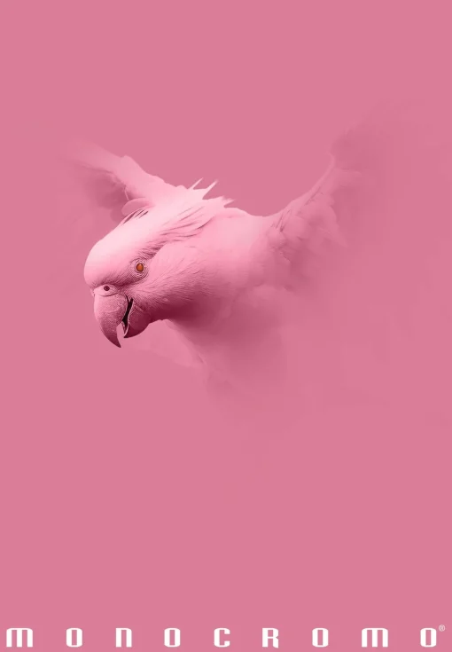 Bissolo Casa Quaderni E Blocchi Quaderni<PIGNA - QUADERNO MAXI MONOCROMO PINK 38 FOGLI A4 QUADRETTI ASS.: vendita online PIGNA - QUADERNO MAXI MONOCROMO PINK 38 FOGLI A4 QUADRETTI ASS. in offerta