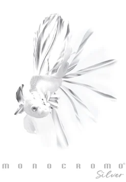 Bissolo Casa Quaderni E Blocchi Quaderni<PIGNA - QUADERNO MAXI MONOCROMO SILVER A4 38 FOGLI RIGHE 4a 5a elem. ASS.: vendita online PIGNA - QUADERNO MAXI MONOCROMO SILVER A4 38 FOGLI RIGHE 4a 5a elem. ASS. in offerta