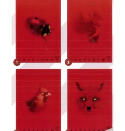 Bissolo Casa Quaderni E Blocchi Quaderni<PIGNA - QUADERNO MAXI MONOCROMO RED 38 FOGLI A4 RIGHE 4a 5a elem. ASS.: vendita online PIGNA - QUADERNO MAXI MONOCROMO RED 38 FOGLI A4 RIGHE 4a 5a elem. ASS. in offerta