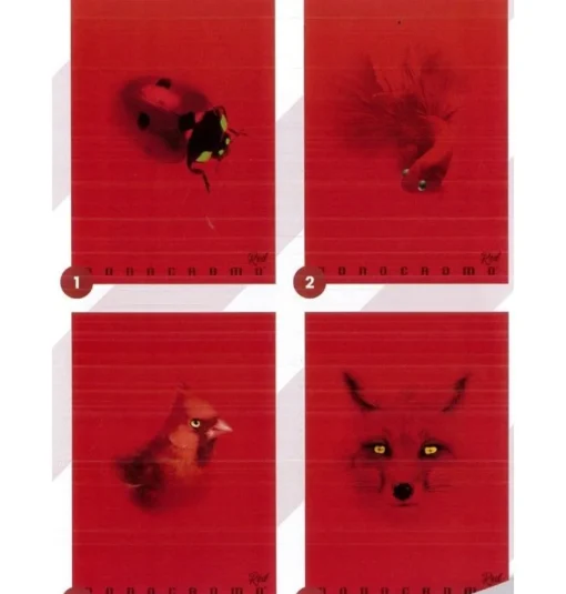 Bissolo Casa Quaderni E Blocchi Quaderni<PIGNA - QUADERNO MAXI MONOCROMO RED 38 FOGLI A4 RIGHE 4a 5a elem. ASS.: vendita online PIGNA - QUADERNO MAXI MONOCROMO RED 38 FOGLI A4 RIGHE 4a 5a elem. ASS. in offerta
