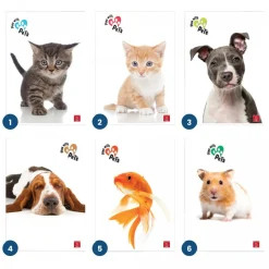 Bissolo Casa Quaderni E Blocchi Quaderni<PIGNA - QUADERNO MAXI PLAY WITH PETS 50 FOGLI A4 QUADRETTI 1a 2a 3a elem. ASS.: vendita online PIGNA - QUADERNO MAXI PLAY WITH PETS 50 FOGLI A4 QUADRETTI 1a 2a 3a elem. ASS. in offerta