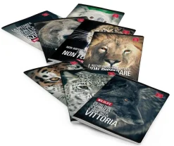 Bissolo Casa Quaderni E Blocchi Quaderni<PIGNA - QUADERNO MAXI WILDLIFE MEME 42 FOGLI A4 RIGHE ASSORTITO: vendita online PIGNA - QUADERNO MAXI WILDLIFE MEME 42 FOGLI A4 RIGHE ASSORTITO in offerta