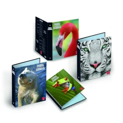 Bissolo Casa Raccoglitori Raccoglitori Ad Anelli<PIGNA - RACCOGLITORE AD ANELLI ANIMAL WORLD A4 ASSORTITO: vendita online PIGNA - RACCOGLITORE AD ANELLI ANIMAL WORLD A4 ASSORTITO in offerta