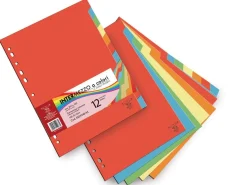 Bissolo Casa Raccoglitori Cartelline A L E Forate<PIGNA - SET 12 SEPARATORI A COLORI ASSORTITI: vendita online PIGNA - SET 12 SEPARATORI A COLORI ASSORTITI in offerta