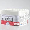 Bissolo Casa Pittura<PITTURA MUSICAL BIANCO 4000ML: vendita online PITTURA MUSICAL BIANCO 4000ML in offerta