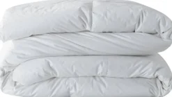 Bissolo Casa Coperte, Piumini, Trapunte Piumini<Piumino in Microfibra Aloe 200x200 cm: Piumino da una 1 Piazza e Mezza