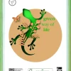 Bissolo Casa Porta Foto E Cornici Porta Foto<PORTAFOTO BATIK IN LEGNO E CRILEX VERDE 13X18CM : vendita online PORTAFOTO BATIK IN LEGNO E CRILEX VERDE 13X18CM in offerta