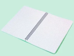 Bissolo Casa Quaderni E Blocchi Quaderni Ad Anelli<Quaderno con fori a quadretti: Quaderno monocromo con fori
