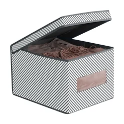 Bissolo Casa Cambio Stagione Custodie<SCATOLA PORTA BIANCHERIA 30X39.5X25CM CON COPERCHIO: vendita online SCATOLA PORTA BIANCHERIA 30X39.5X25CM CON COPERCHIO in offerta