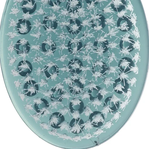 Bissolo Casa Scope<SPAZZOLA IN PLASTICA 36,5X7X3,50CM: vendita online SPAZZOLA IN PLASTICA 36,5X7X3,50CM in offerta