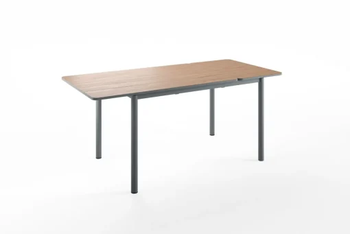 Bissolo Casa Tavoli Moderni<TAVOLO MOD. LUX ALL. CM 110X70 PIOMBO E NOCE STELVIO: vendita online TAVOLO MOD. LUX ALL. CM 110X70 PIOMBO E NOCE STELVIO in offerta