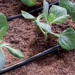 Bissolo Casa Irrigazione E Accessori<Tubo gocciolante per irrigazione 25mt
