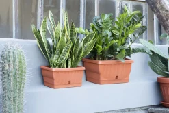 Bissolo Casa Fioriere<Vendita online di FIORIERA NATURA 60X29X26CM TERRACOTTA