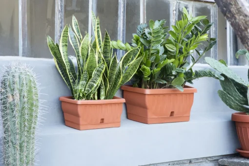 Bissolo Casa Fioriere<Vendita online di FIORIERA NATURA 60X29X26CM TERRACOTTA