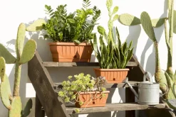 Bissolo Casa Fioriere<Vendita online di FIORIERA NATURA 60X29X26CM TERRACOTTA