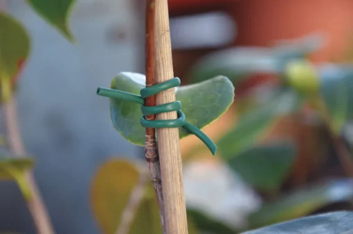 Bissolo Casa Articoli Per Giardinaggio<Vendita online di LEGACCIO VERDE PVC 500GR