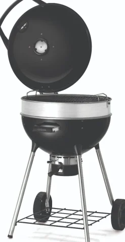 Bissolo Casa Barbecue A Carbonella<Vendita online di NAPOLEON - BARBECUE A CARBONELLA PRO22K