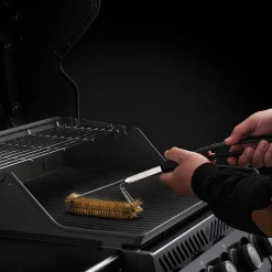 Bissolo Casa Accessori<Vendita online di NAPOLEON - SPAZZOLA A TRE FILE CON SETOLE IN OTTONE