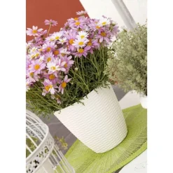 Bissolo Casa Vasi<Vendita online di PORTAVASO PAGLIA DIAM. 19 PANNA