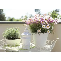 Bissolo Casa Vasi<Vendita online di PORTAVASO PAGLIA DIAM. 24 PANNA