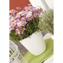 Bissolo Casa Vasi<Vendita online di PORTAVASO PAGLIA DIAM. 29 PANNA