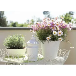 Bissolo Casa Vasi<Vendita online di PORTAVASO PAGLIA DIAM. 29 PANNA