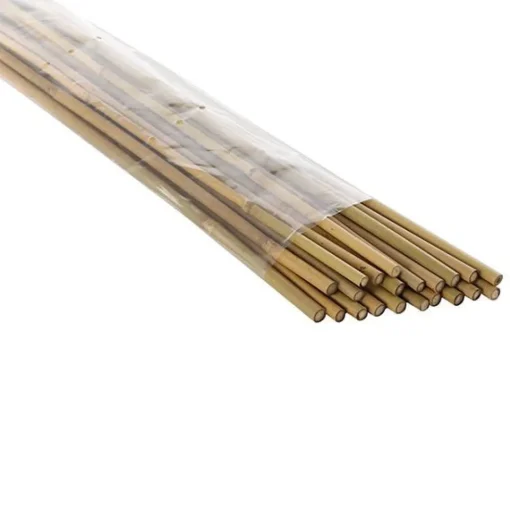Bissolo Casa Articoli Per Giardinaggio<Vendita online di SET 10 CANNETTE IN BAMBOO H 180CM DIAM. 12/14MM