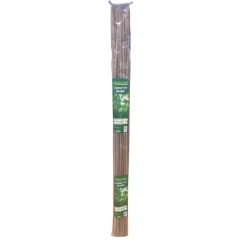 Bissolo Casa Articoli Per Giardinaggio<Vendita online di SET 20 CANNETTE IN BAMBOO H 120CM DIAM. 8/10MM