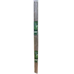 Bissolo Casa Articoli Per Giardinaggio<Vendita online di SET 10 CANNETTE IN BAMBOO H 150CM DIAM. 10/12MM