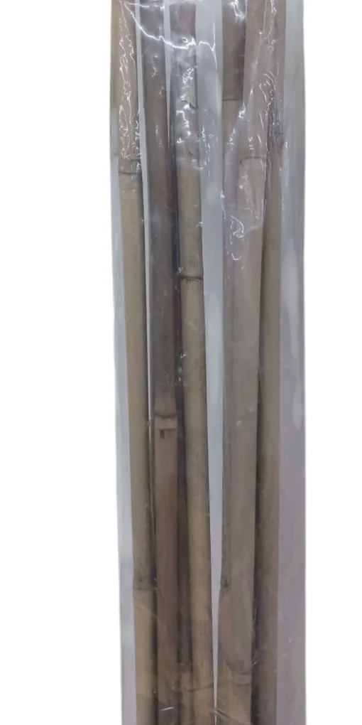 Bissolo Casa Articoli Per Giardinaggio<Vendita online di SET 10 CANNETTE IN BAMBOO H 150CM DIAM. 10/12MM