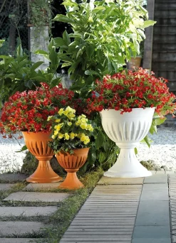 Bissolo Casa Vasi<Vendita online di VASO A CALICE MODELLO ALBA DIAM. 43 TERRACOTTA