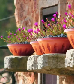 Bissolo Casa Vasi<Vendita online di VASO ALBA DIAM. 40 TERRACOTTA