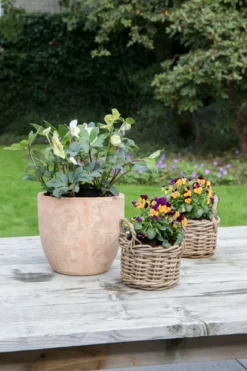 Bissolo Casa Vasi<Vendita online di VASO EGG POT DIAM. 40 H. 33CM