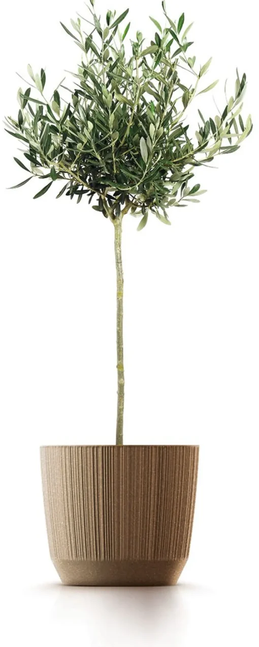 Bissolo Casa Vasi<Vendita online di VASO RYFO ECO WOOD ECO NATURE DIAM. 14,6 H. 12,6