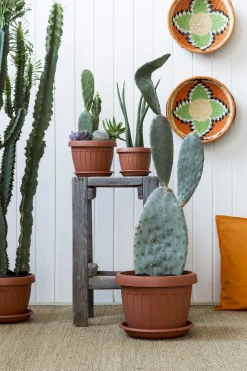 Bissolo Casa Vasi<Vendita online di VASO TERRA DIAM. 25 TERRACOTTA