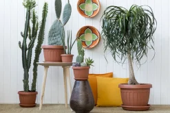 Bissolo Casa Vasi<Vendita online di VASO TERRA DIAM. 30 TERRACOTTA