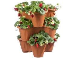Bissolo Casa Vasi<Vendita online di VASO TRIFOGLIO: SET 3 VASI + SOTTOVASO COLOR TERRACOTTA