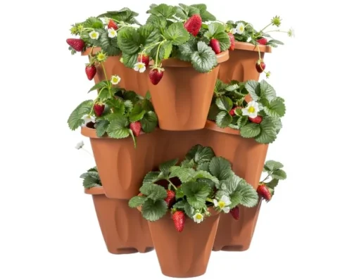 Bissolo Casa Vasi<Vendita online di VASO TRIFOGLIO: SET 3 VASI + SOTTOVASO COLOR TERRACOTTA