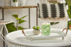 Bissolo Casa Yankee Candle Giare Grandi<YANKEE CANDLE - GIARA GRANDE 2 STOPPINI VANILLA LIME: vendita online YANKEE CANDLE - GIARA GRANDE 2 STOPPINI VANILLA LIME in offerta