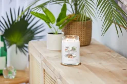 Bissolo Casa Yankee Candle Giare Grandi<YANKEE CANDLE - GIARA GRANDE 2 STOPPINI COCONUT BEACH: vendita online YANKEE CANDLE - GIARA GRANDE 2 STOPPINI COCONUT BEACH in offerta